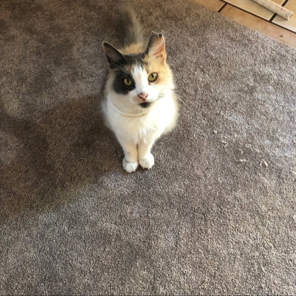 Meet your Posher, Sharon - Picture 8 of 8